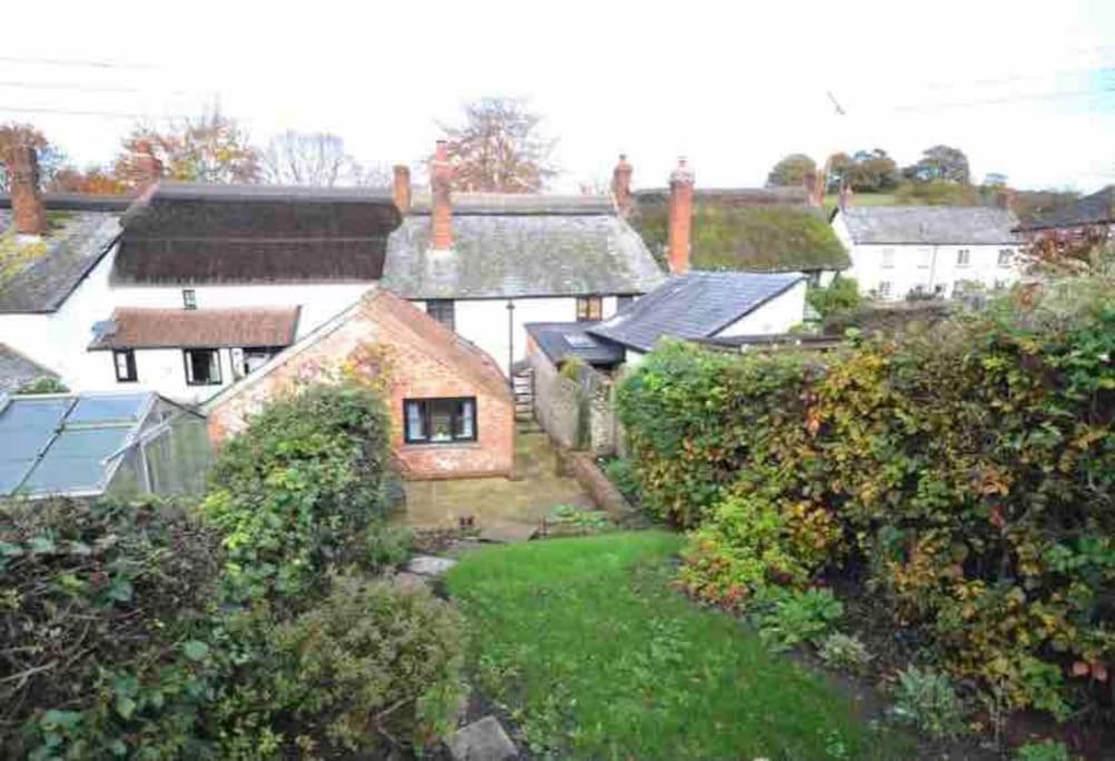 Otterton Thatched Cottage, Beautiful Village Near The Sea מראה חיצוני תמונה
